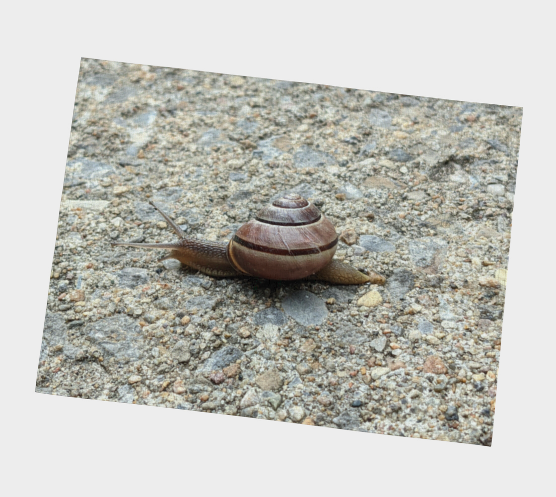 Placemat | Snail