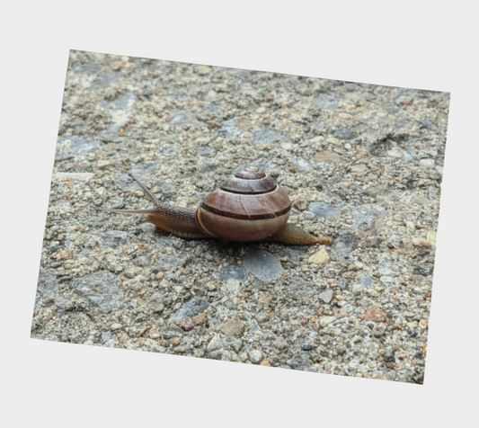 Placemat | Snail