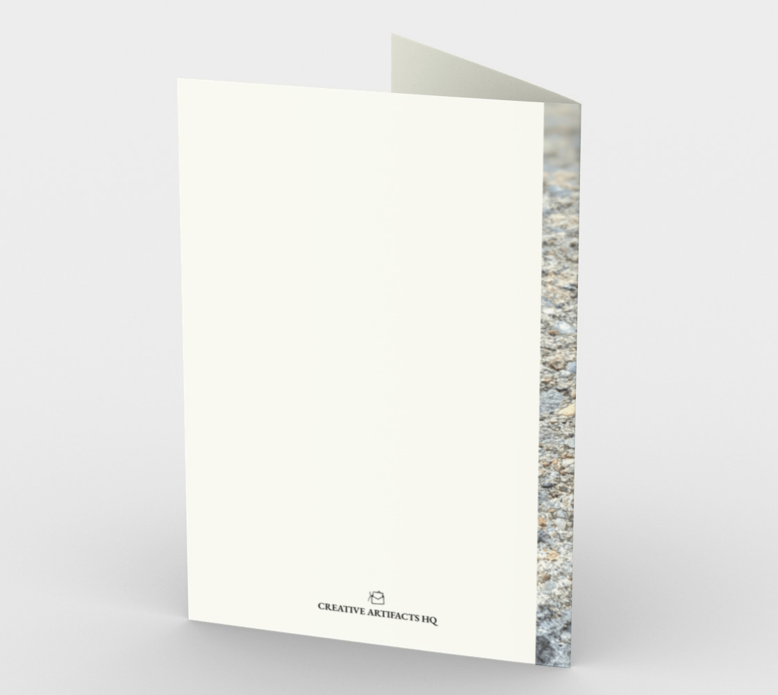 Blank Greeting Card | 5 x 7 | Snail