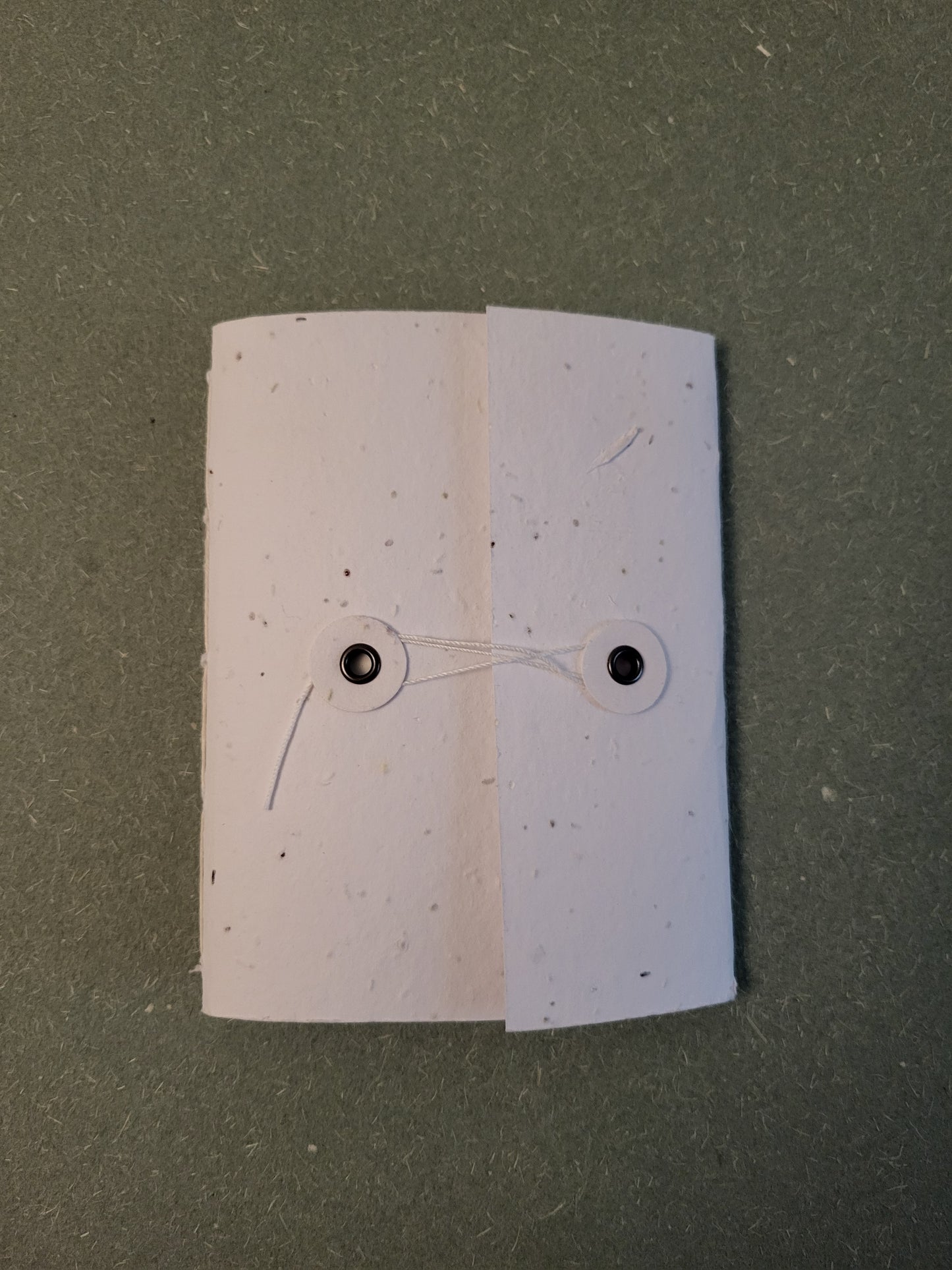 Pocket | Plantable Button and String Notebook