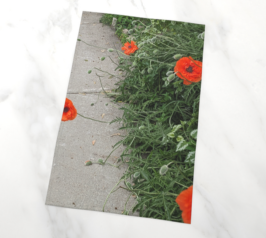 Tea Towel | Peripheral Poppies