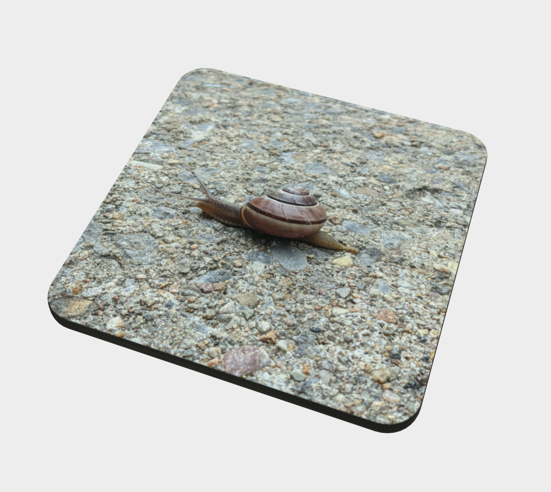Coaster | Concrete Snail