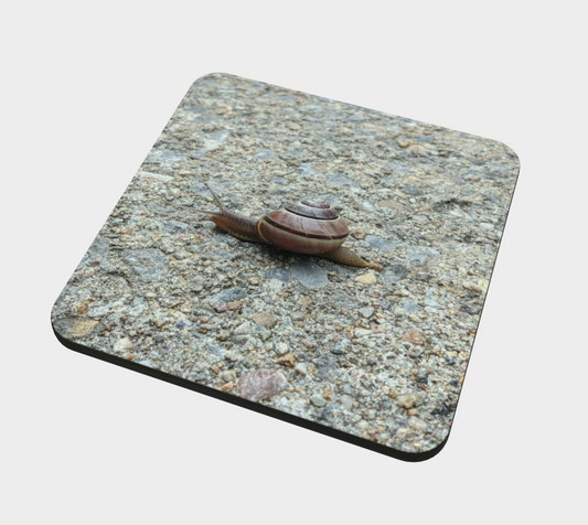 Coaster | Concrete Snail