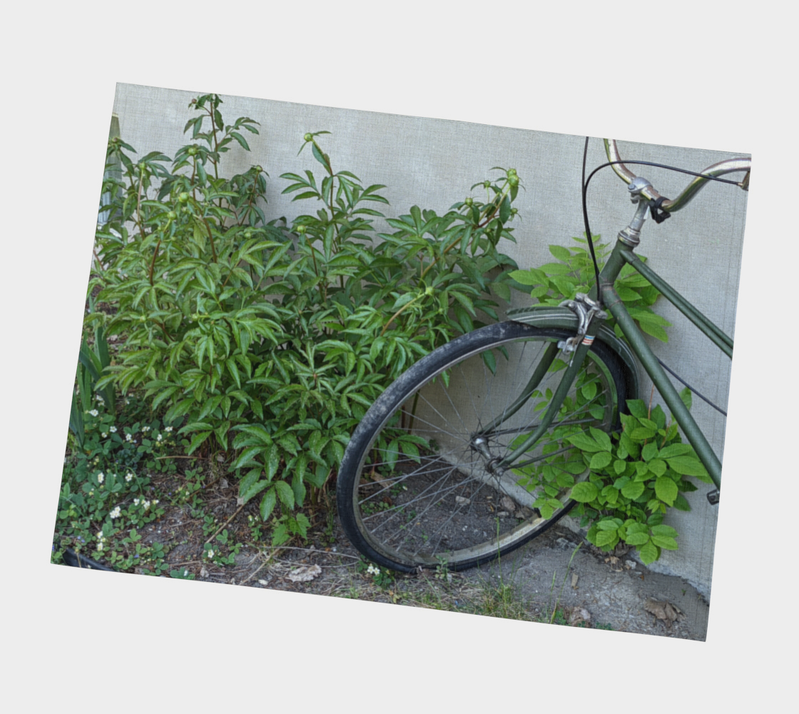 Placemat | Greenery Bike
