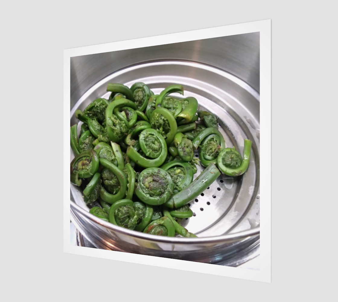 Art Print | Fiddleheads