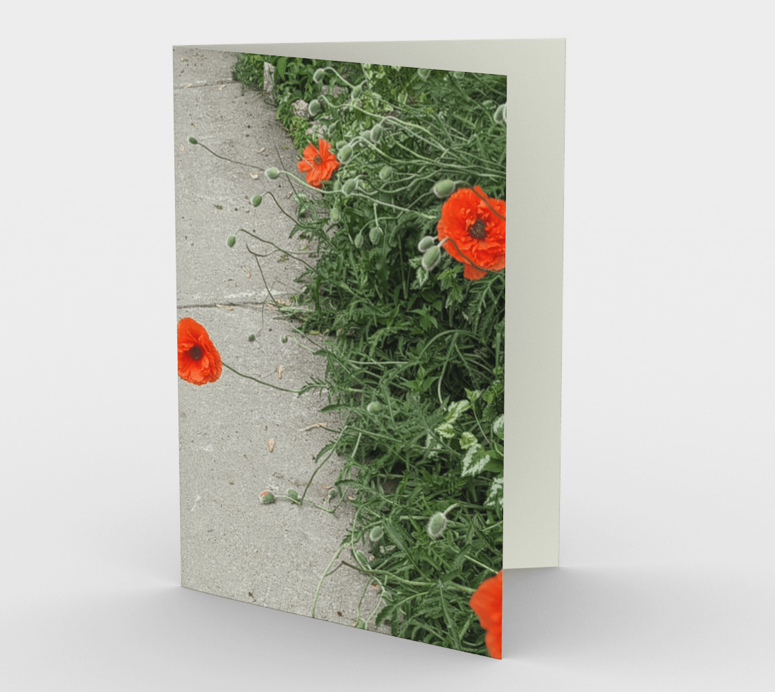 Blank Greeting Card | 5 x 7 | Peripheral Poppies