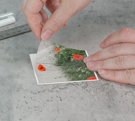 Sticker | 3 x 3 | Peripheral Poppies