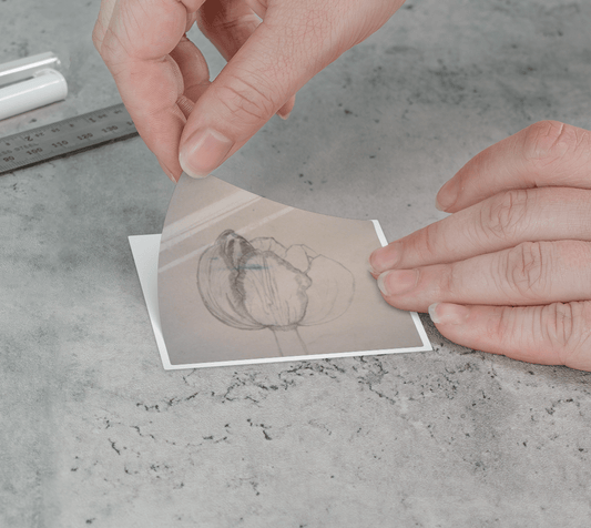 Sticker | 3 x 3 | Tulip Petal Pencil Sketch