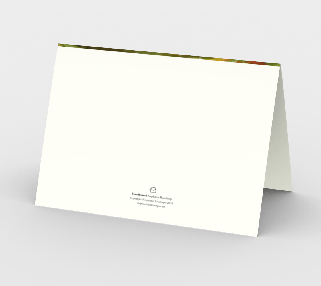 Blank Greeting Card | Fresh Salad