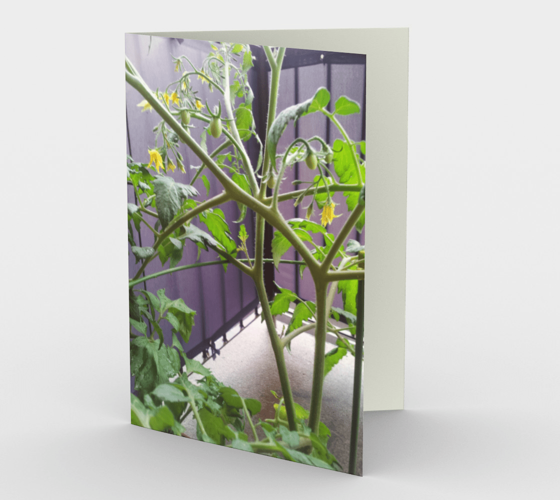 Blank Greeting Card | Tomato Plant
