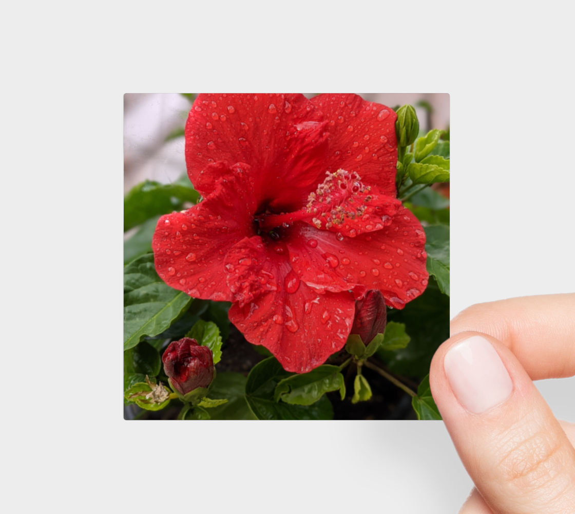 Sticker | 3 x 3 | Hibiscus