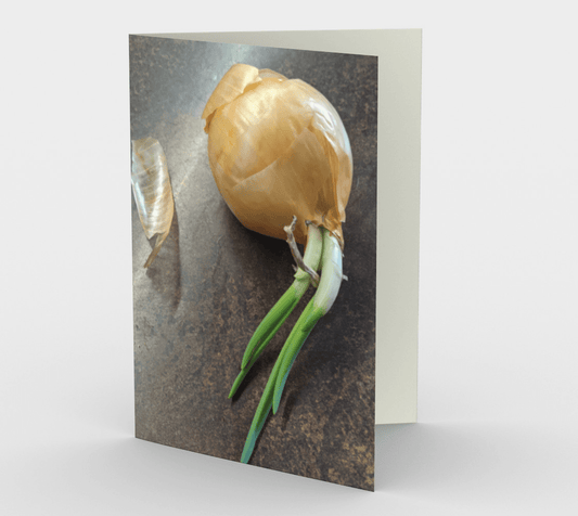 Blank Greeting Card | 5 x 7 | Onion