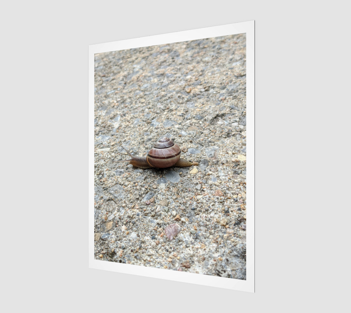 Digital Print | Snail