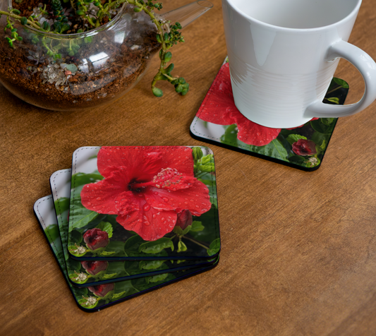 Coasters | Hibiscus