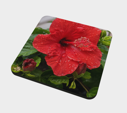 Coasters | Hibiscus