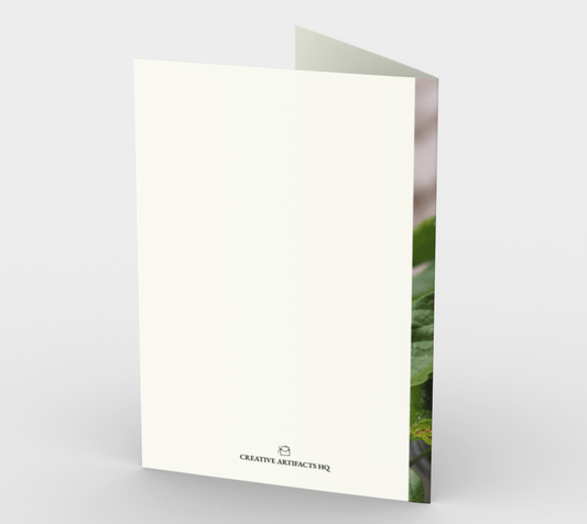 Blank Greeting Card | 5 x 7 | Hibiscus Flower