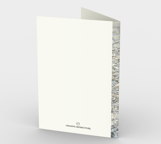 Blank Greeting Card | 5 x 7 | Snail