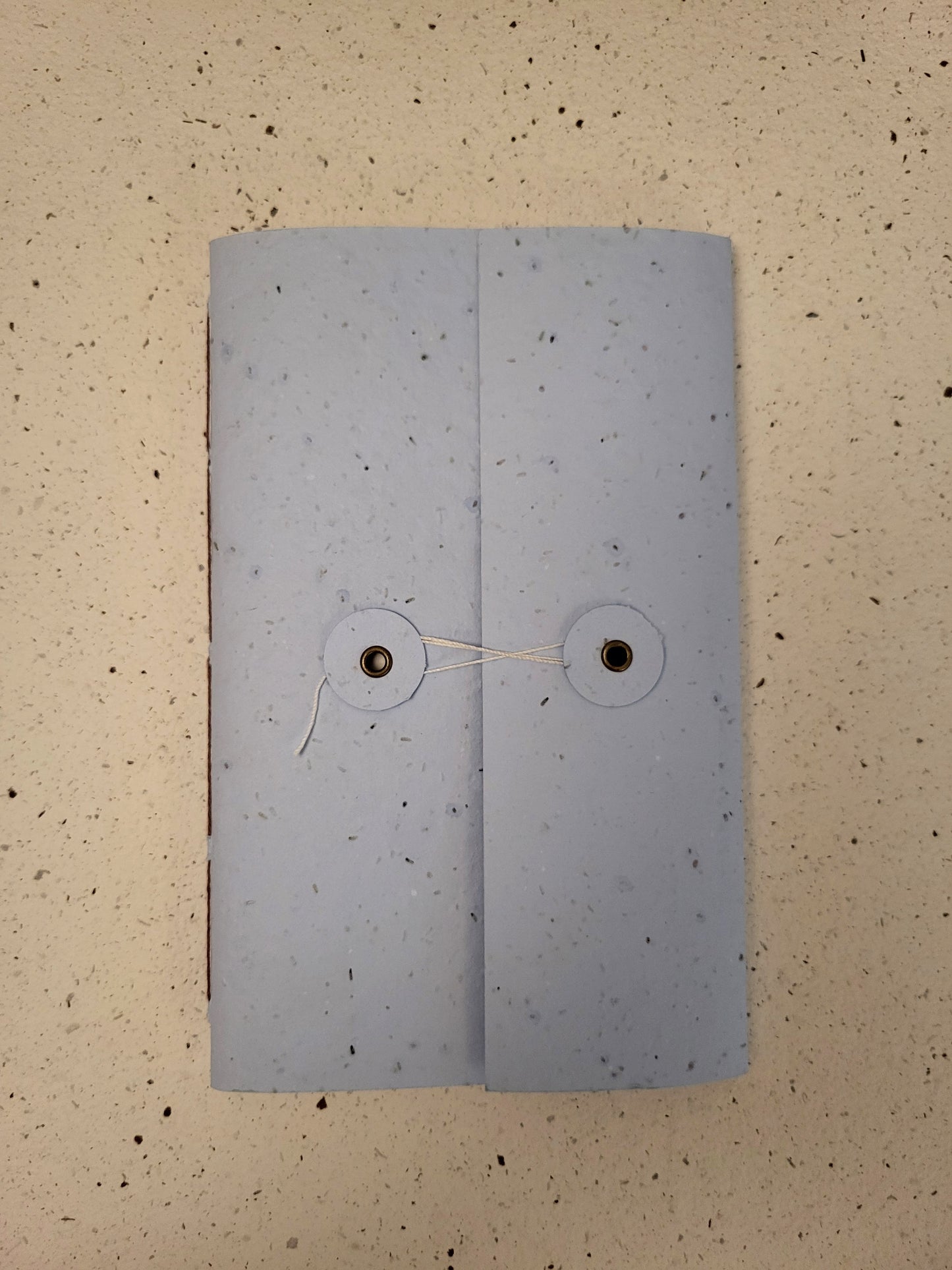 Large | Plantable Button and String Notebook