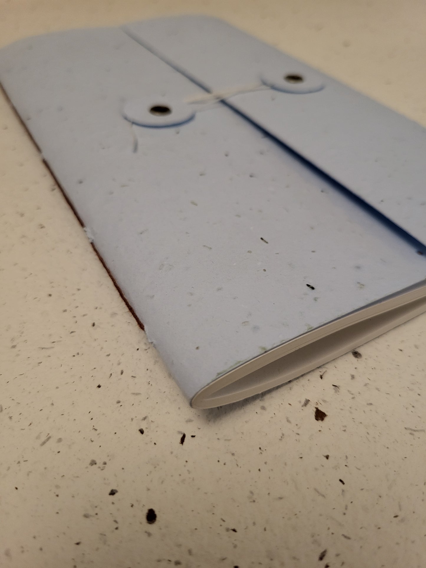 Pocket | Plantable Button and String Notebook