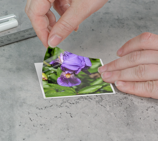 Sticker | 3 x 3 | Iris