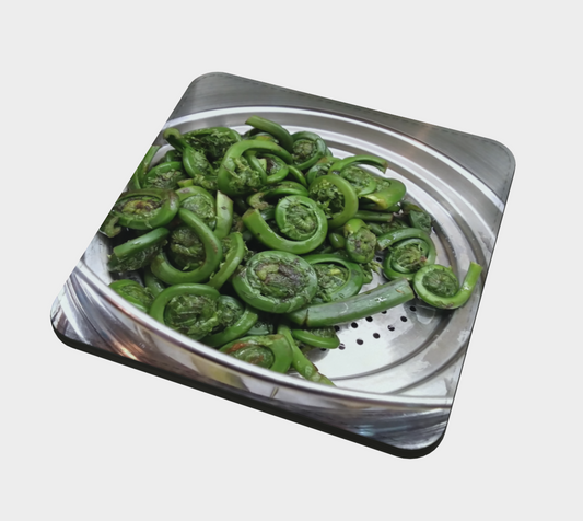 Coaster | Fiddleheads
