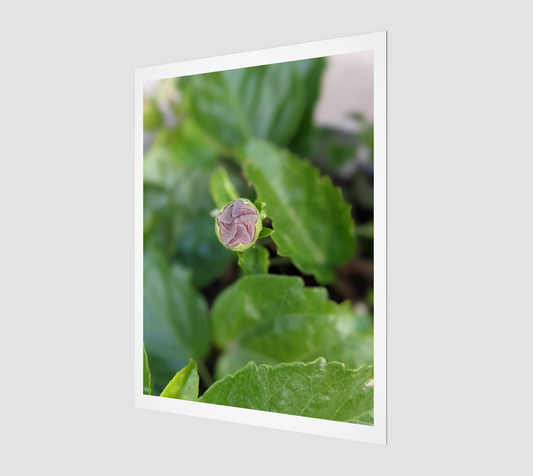 Digital Print | Floral Spiral