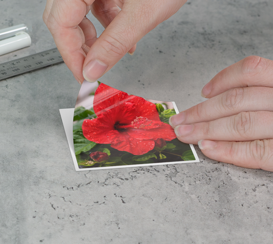 Sticker | 3 x 3 | Hibiscus