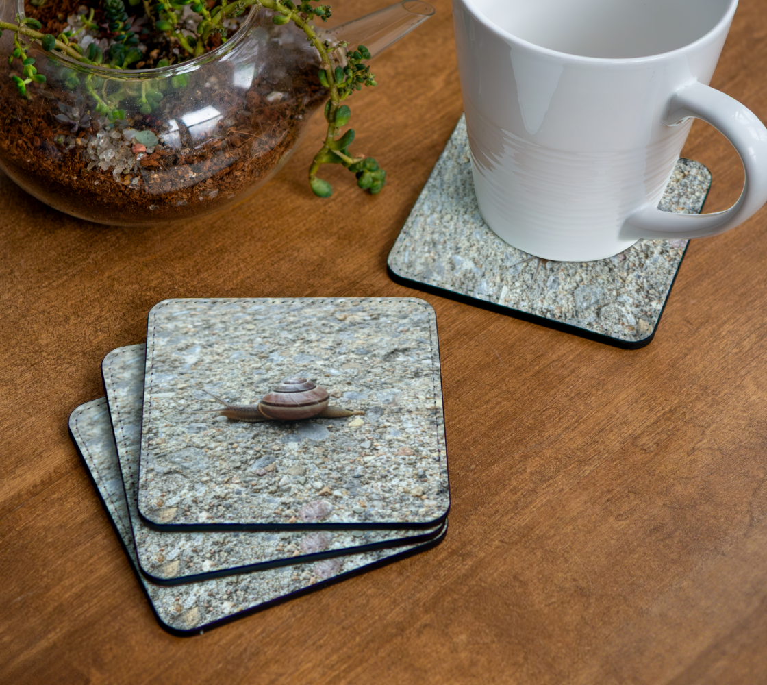 Coaster | Concrete Snail