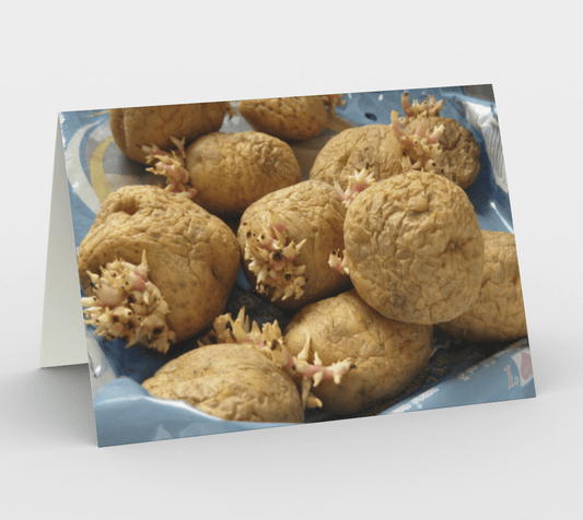 Blank Greeting Card | 5 x 7 | Potato FlowerPie
