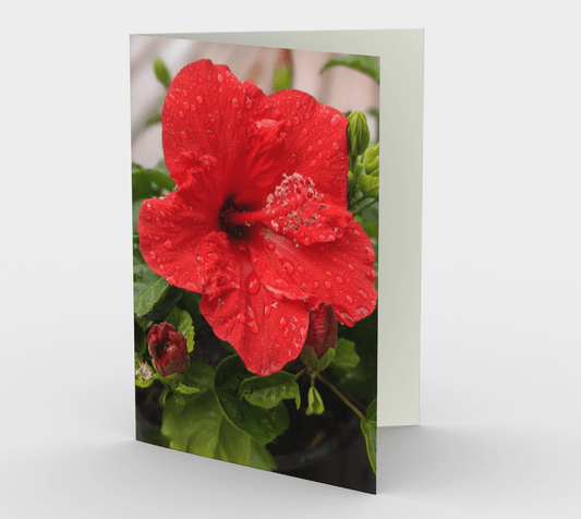 Blank Greeting Card | 5 x 7 | Hibiscus Flower
