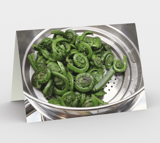 Blank Greeting Card | 5 x 7 | Fiddleheads