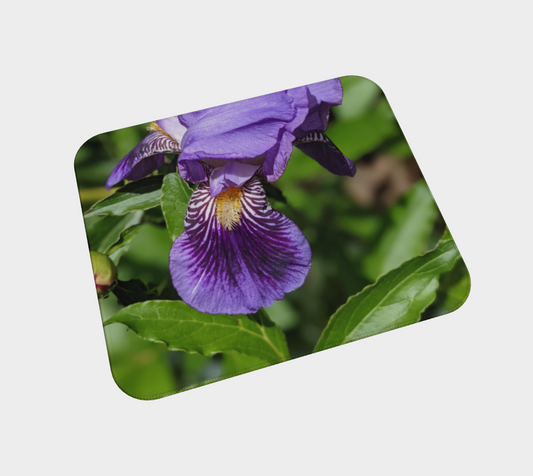 Desk Mat | Iris