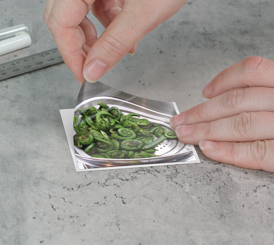 Sticker | 3 x 3 | Fiddleheads