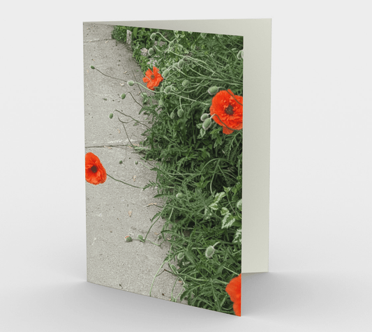 Blank Greeting Card | 5 x 7 | Peripheral Poppies