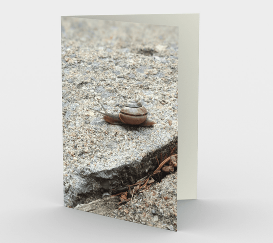 Blank Greeting Card | 5 x 7 | Snail