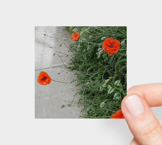 Sticker | 3 x 3  | Peripheral Poppies