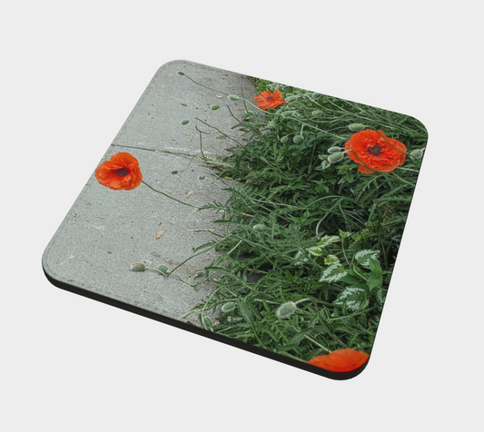 Coaster | Peripheral Poppies