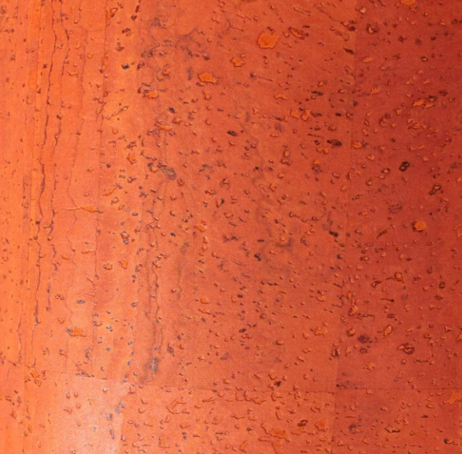 Cork Pencil Case