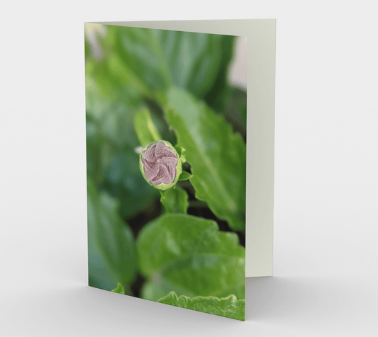Blank Greeting Card | 5 x 7 | Bud