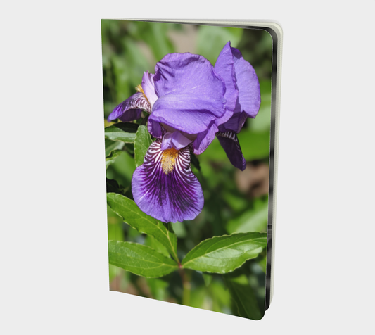 Small | Notebook | Iris