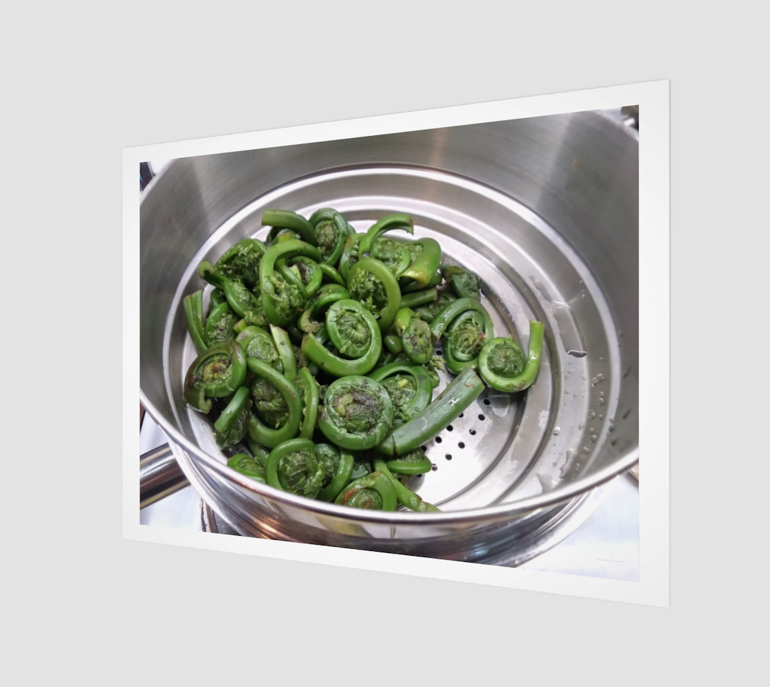 Digital Print | Fiddleheads