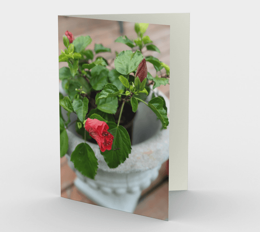 Blank Greeting Card | 5 x 7 | Hibiscus