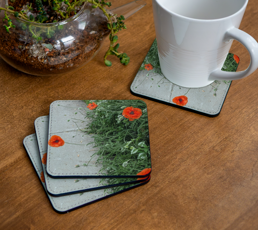 Coaster | Peripheral Poppies