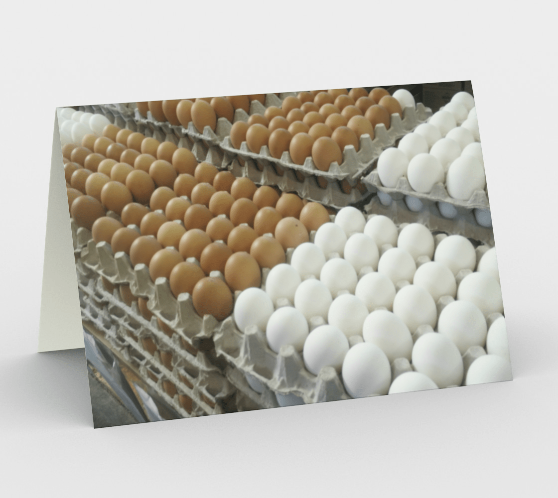 Blank Greeting Card | 5 x 7 | Eggs