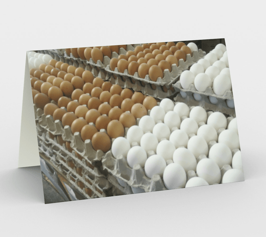 Blank Greeting Card | 5 x 7 | Eggs