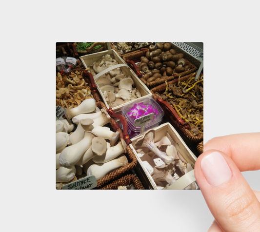 Sticker | 3 x 3 | Funghi