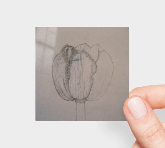 Sticker | Tulip Petal Pencil Sketch