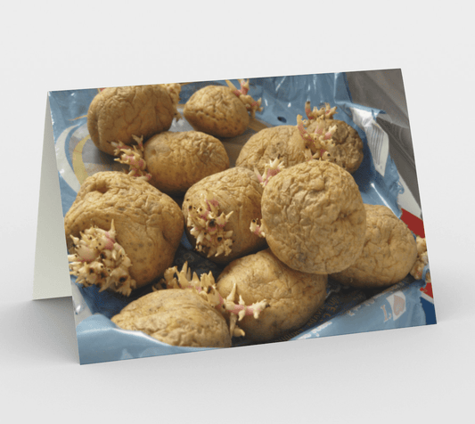 Blank Greeting Card | Potato Flower