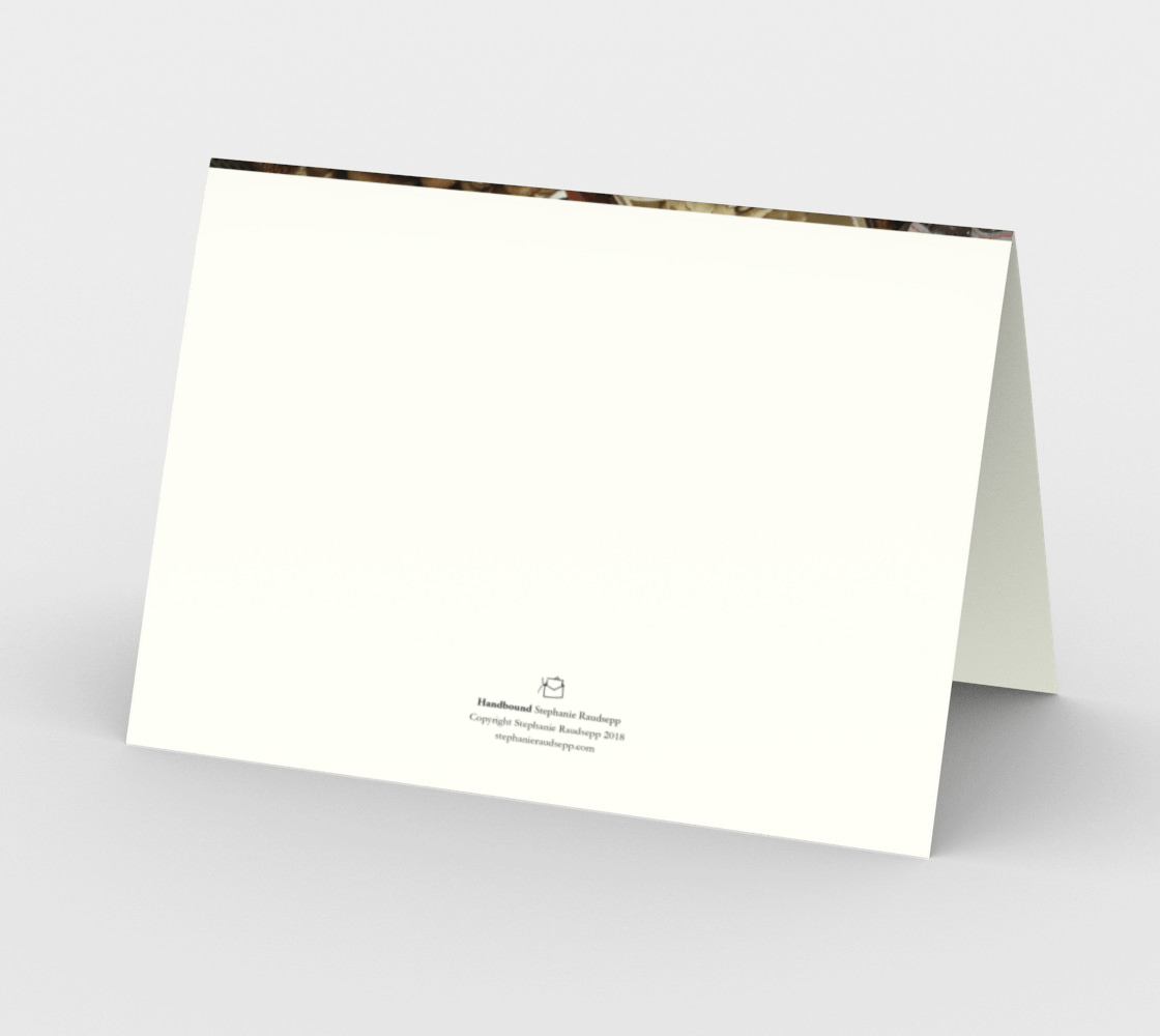 Blank Greeting Card | Funghi