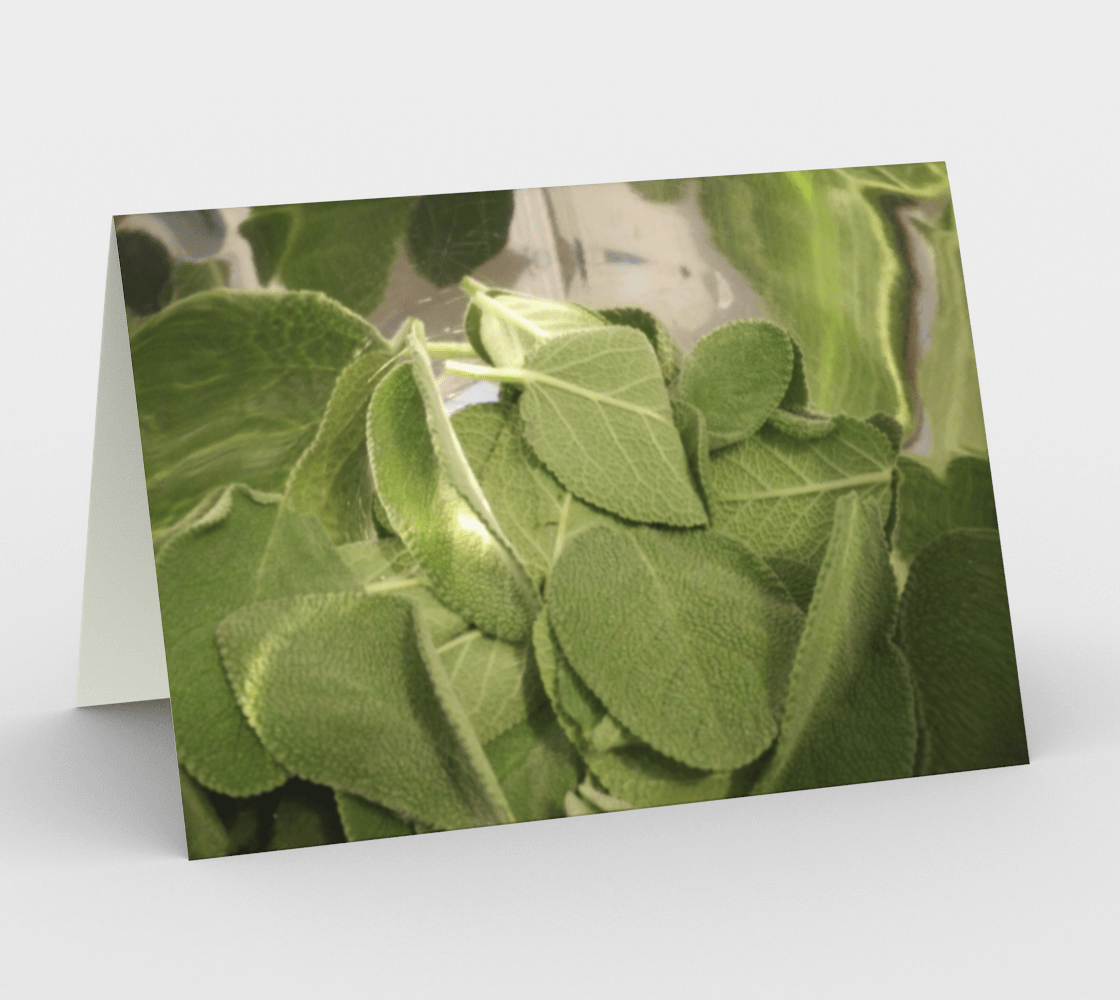 Blank Greeting Card | Sage
